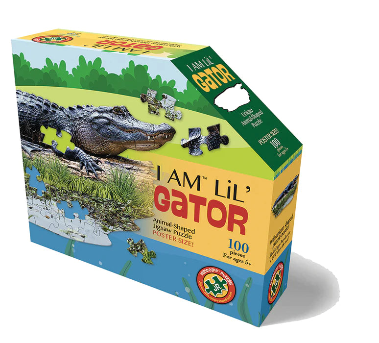 I Am Lil' Gator 100pc