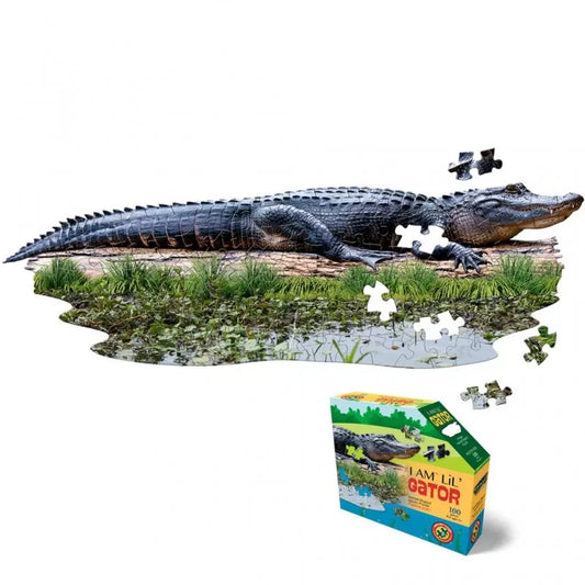 I Am Lil' Gator 100pc