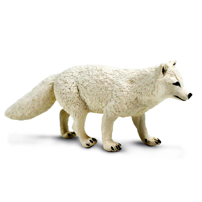 Artic Fox