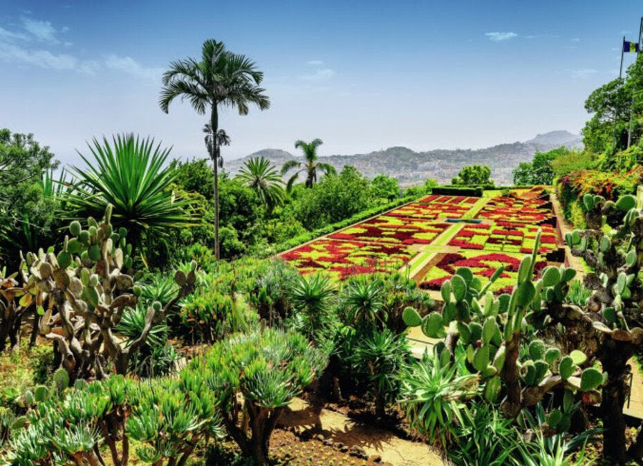 Botanical Garden, Madeira 1000pc