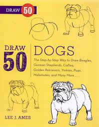 Draw 50 Dogs