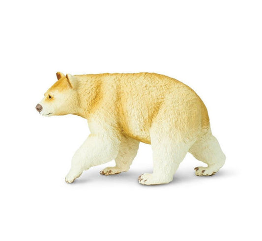 Kermode Bear