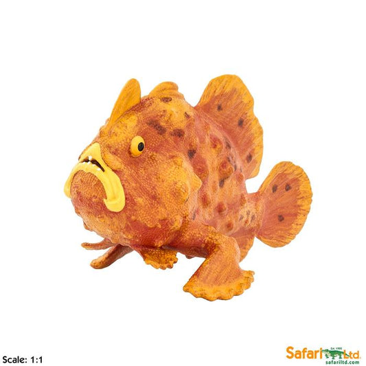 Frogfish