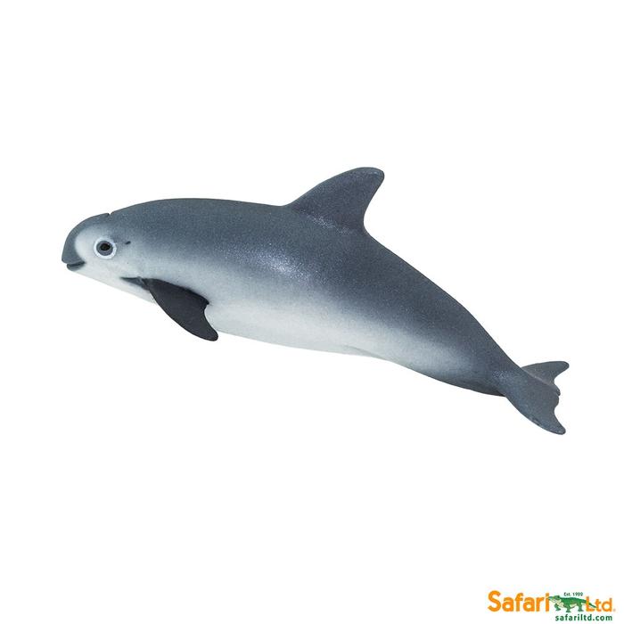 Vaquita Porpoise