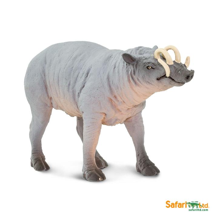 Babirusa