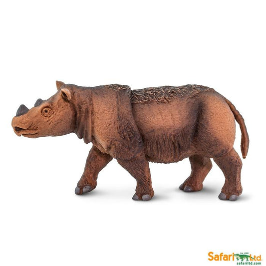 Sumatran Rhino