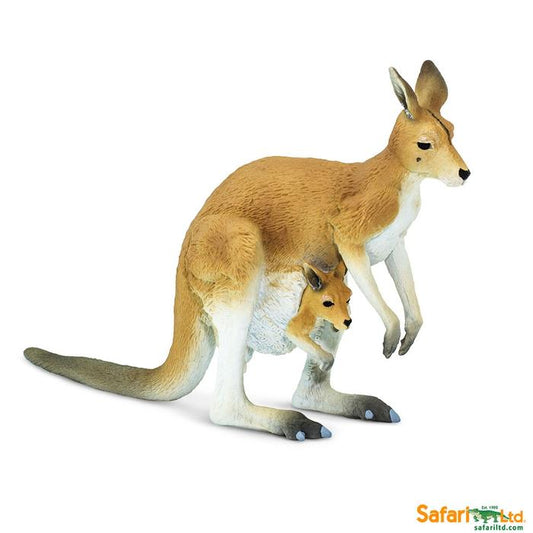 Kangaroo with Joey