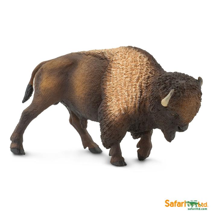 Bison