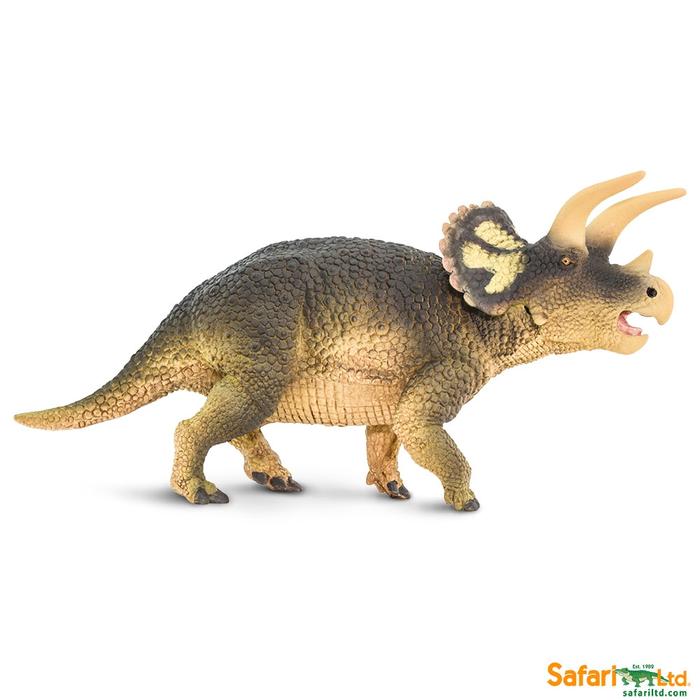 Triceratops