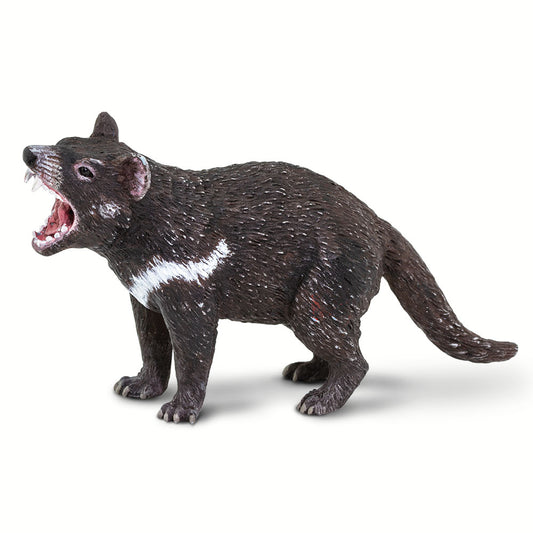 Tasmanian Devil