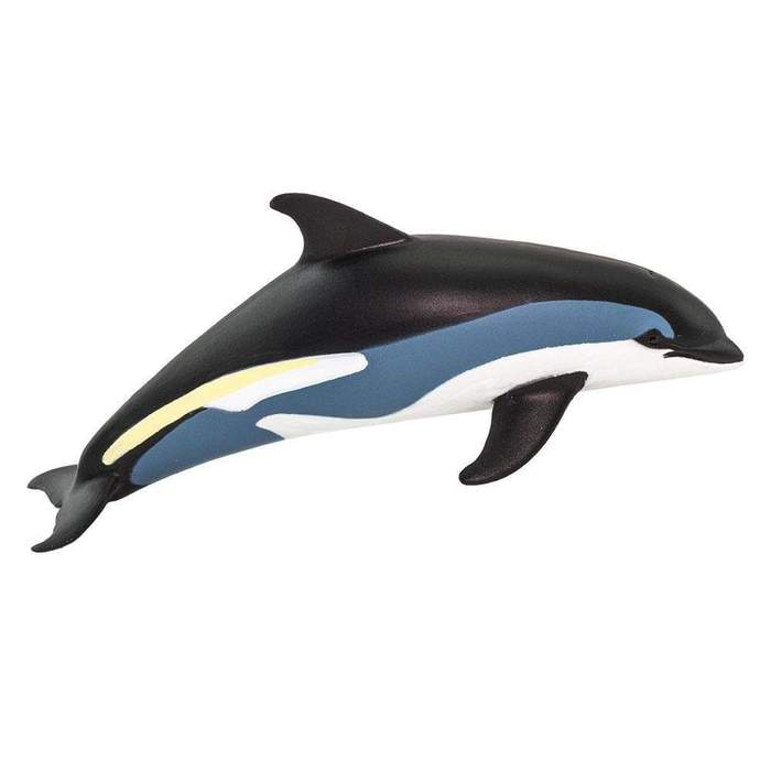 Atlantic White Sided Dolphin