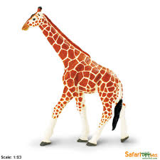 Reticulated Giraffe