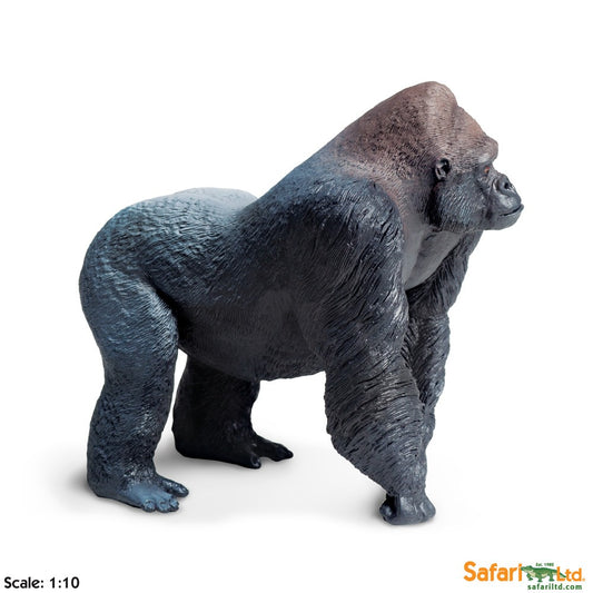 Silverback Gorilla