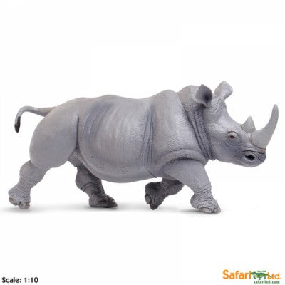 White Rhino