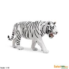 White Siberian Tiger