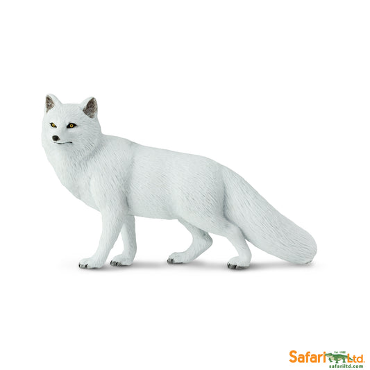 Arctic Fox