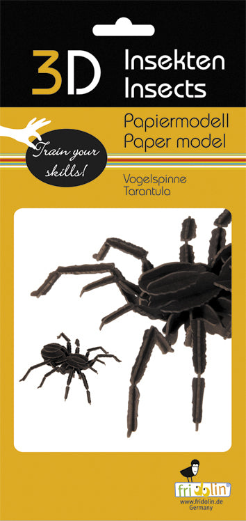 3D Paper Model Spider