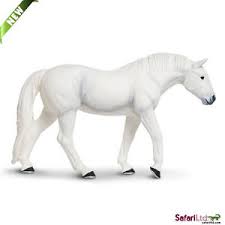 Lipizzaner Stallion