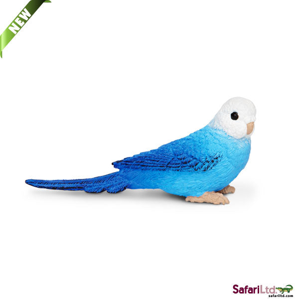 Blue Budgie