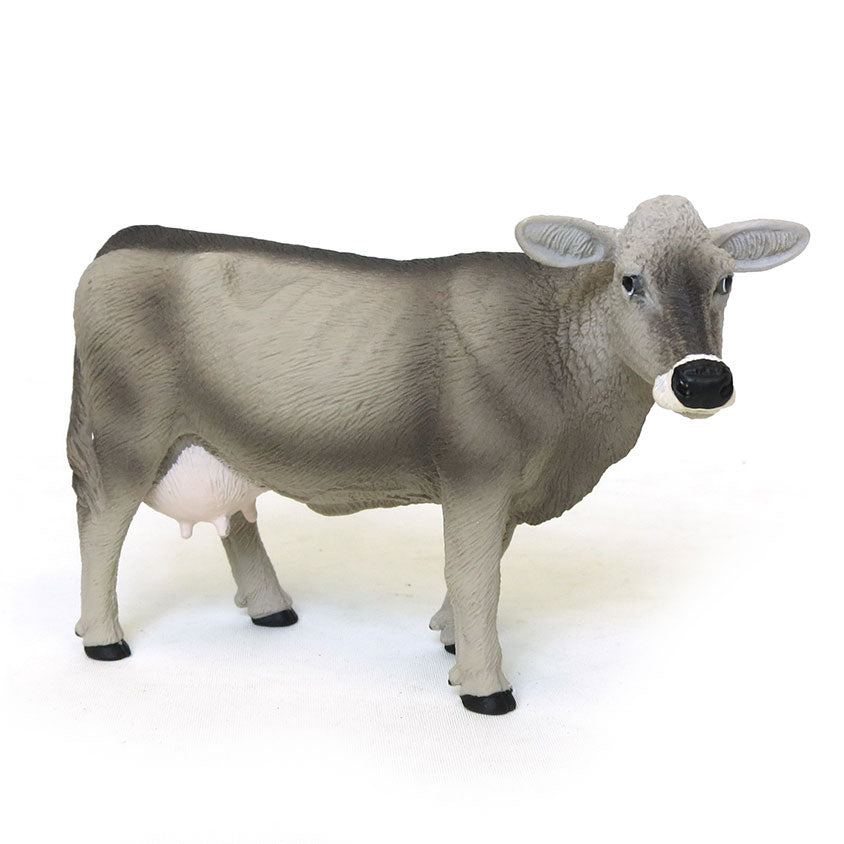 Brown Swiss Cow