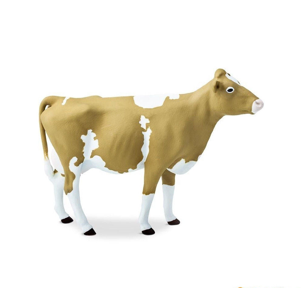 Guernsey Cow