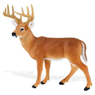 WHITETAIL BUCK