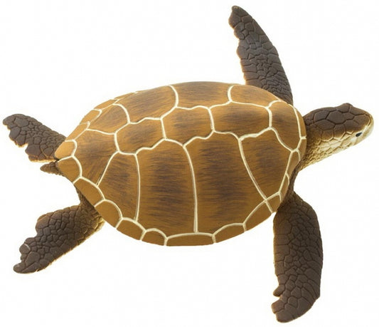 Green Sea Turtle