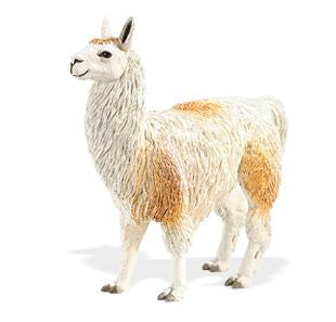 Llama