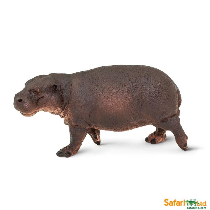 Pygmy Hippo