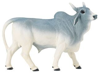 BRAHMAN BULL