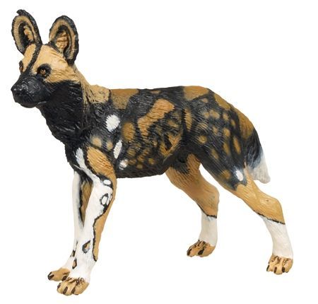 AFRICAN WILD DOG