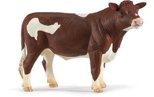 RED HOLSTEIN BULL