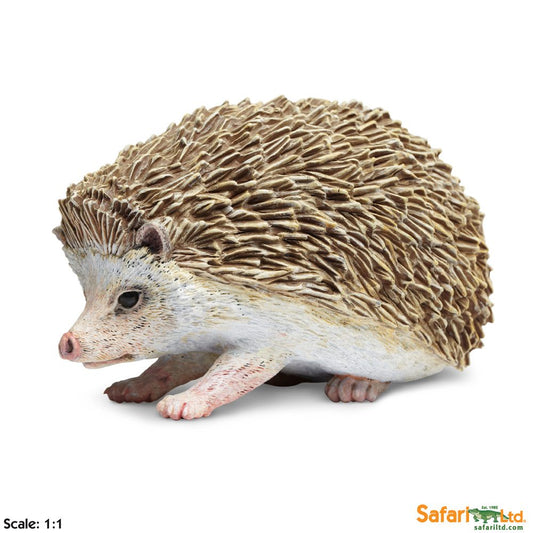 Hedgehog