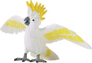 COCKATOO