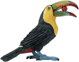 Toucan