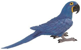 BLUE HYACINTH PARROT