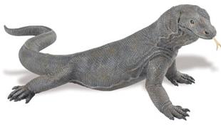 KOMODO DRAGON