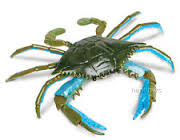 Blue Crab