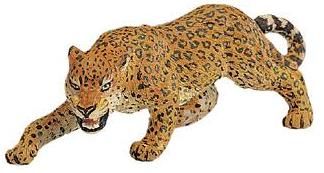 LEOPARD ADULT