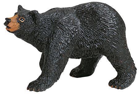 BLACK BEAR