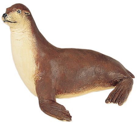 Sea Lion