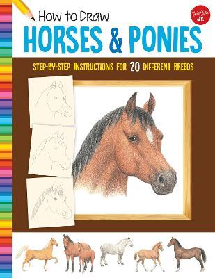 How to Draw Horses & Ponies