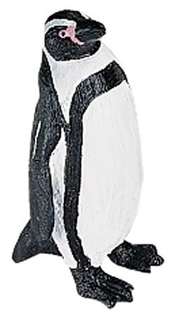 HUMBOLDT PENGUIN