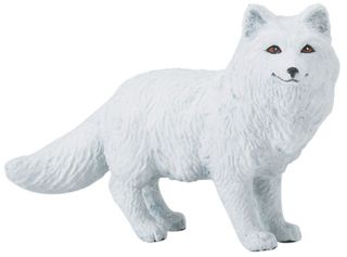 ARCTIC FOX