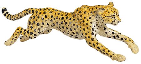 CHEETAH