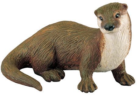 RIVER OTTER