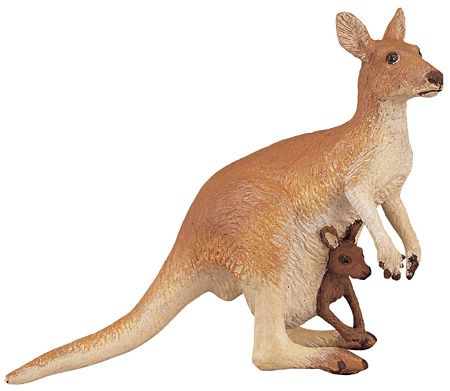 KANGAROO WITH BABY