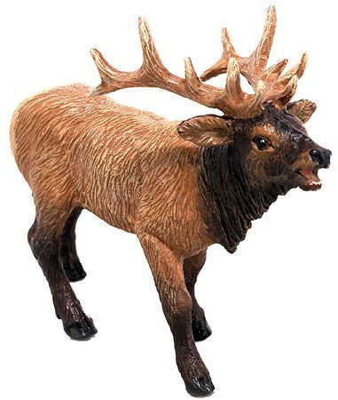 Elk