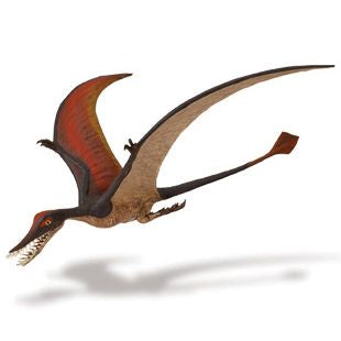 RHAMPHORHYNCHUS