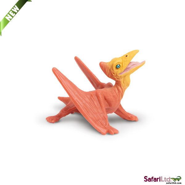 PTERANODON BABY